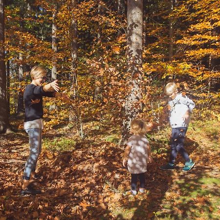 Drewniana Roza Domki Karkonosze Piechowice  Esterno foto
