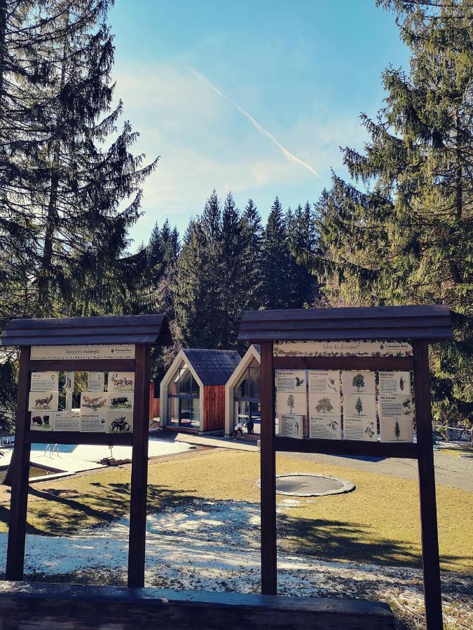 Drewniana Roza Domki Karkonosze Piechowice  Esterno foto